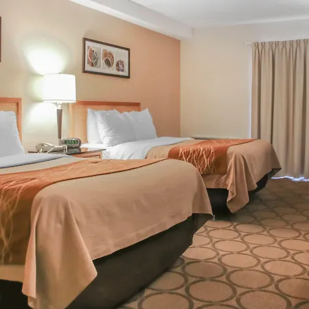 Comfort Inn Airport-3